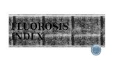 Fluorosis index