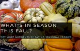 Whats In Season This Fall: Get more Nutrients by Eating Seasonal Vegetables