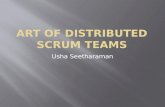 Art of distributed scrum teams