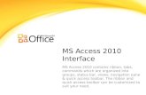 L3 ms access 2010 interface