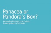 Panacea or Pandora’s Box?: Promoting Pro-Poor Low Carbon Development in Sri Lanka