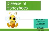 Disease of honeybees