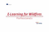 Professionals - Wildfires - Response part 2