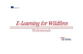 Professionals - Wildfires - Response part 3