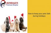How to keep your pets safe during holidays