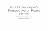 An iOS Developer's Perspective on React Native