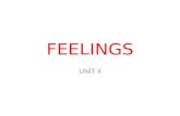 Unit name: Feelings.