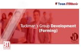 Tuckman's group development (Forming)