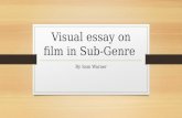 Visual essay on film in Sub-Genre