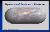 Dynamics of Antibiotic Resistance Evolution