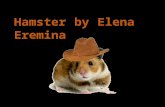 Hamster by elena eremina