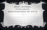 Best animal exploring destinations of 2016