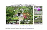 Pine Ridge Lodge Opportunity Report