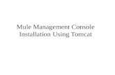 Mule management console