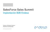 Endesa. salesforce sales summit