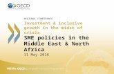 SME policies in the Middle East & North Africa