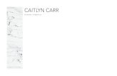 Caitlyn Carr Portfolio December 2016