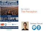The Perceptron (D1L2 Deep Learning for Speech and Language)