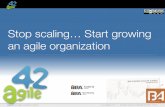 Stop scaling... start growing an agile organization (IIBA)