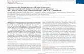 Proteomic Mapping of the Human Mitochondrial Intermembrane ...