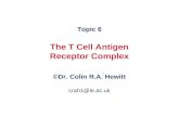 T cell antigen receptors PPT