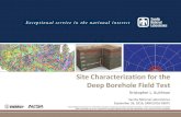 Site Characterization for the Deep Borehole Field Test