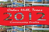 Cedar Hill Community Profile