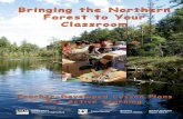 Bringing the Northern Forest to Your Classroom
