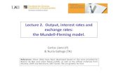 Lecture 2. Output, interest rates and exchange rates: the Mundell ...