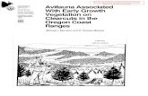 Avifauna Associated With Early Growth Vegetation on Clearcuts in ...