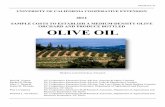 Sample Costs To Establish A Medium Density Olive Orchard And