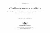Collagenous colitis The influence of inflammation and bile acids on ...