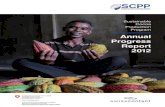 2012 SCPP Annual Public Report