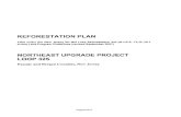 Reforestation Plan Loop 325