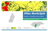 0822 Santa Ana Atlas Forestal Municipal.pdf