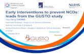 Early interventions to prevent NCDs: leads from the GUSTO study
