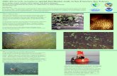 2003 Microcystis aeruginosa spatial distribution study in San ...