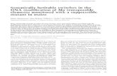 Somatically heritable switches in the DNA modification of Mu ...