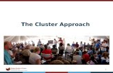 The Cluster Approach Presentation