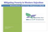 Baseline Survey Report Bali
