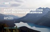 TEST AUTOMATION PRACTICE WITH SELENIUM WEBDRIVER
