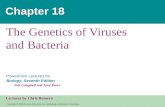 Genetics of Viruses & Bacteria