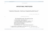 1. Introduction 2. Intestinal Protozoa