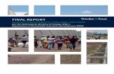 Final report evaluation of PSOM/PSI 1999-2009 and MMF