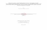 Intestinal Colonization of Enterococcus mundtii ST4SA and ...