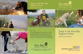 Dogs in the East Bay Regional Parks