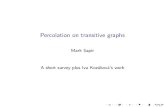 "Percolation on transitive graphs", Ottawa