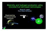Electricity and hydrogen production using microbial fuel cell-based ...