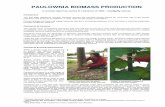Paulownia Biomass Production pdf