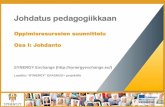 SYNERGY Induction to Pedagogy Programme - Designing Learning Resources (FINNISH)